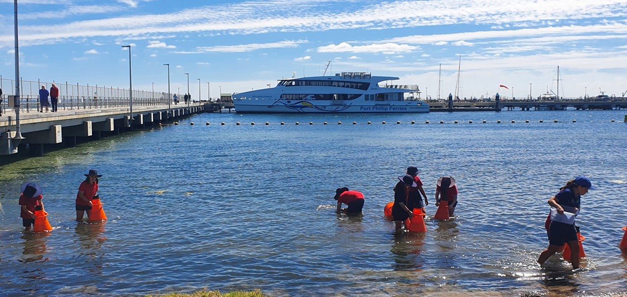 Port Phillip Ferries